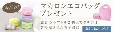 マカロンエコバッグプレゼント