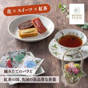 【送料無料】ホシファーム イングリッシュガーデン カラフル＆フィナンシェと紅茶 7個