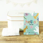 【3/31までの限定価格】hello! baby gift（10800円コース）カタログギフト　おむつボックスセット