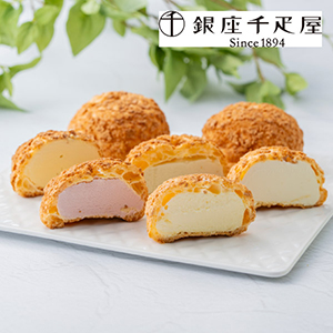 【送料無料】銀座千疋屋 銀座プレミアムシューアイス 9個