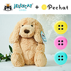 【jellycat ジェリーキャット】バシュフル タフィーパピー M ペチャットセット　送料無料