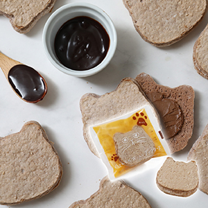 【送料無料】にゃんともおいしいダックワーズ チョコ【出産内祝い】