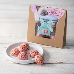 【送料無料】ベビーミャオ にゃんこクランチチョコ 苺【出産内祝い】