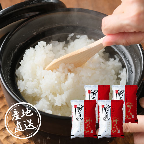 【送料無料】産地直送グルメ│雪蔵仕込み 新潟県産新之助 8kg 【新潟県】【出産内祝い用】