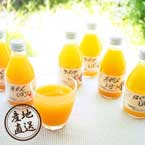 【送料無料】産地直送グルメ│伊藤農園 100％ピュアジュース5種飲み比べ（10本） 【和歌山県】【出産内祝い用】