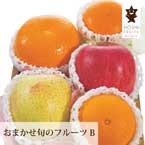 【送料無料】直送│ホシフルーツ おまかせ旬のフルーツBOX Ｂ【出産内祝い用】
