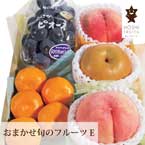 【送料無料】直送│ホシフルーツ おまかせ旬のフルーツBOX Ｅ【出産内祝い用】