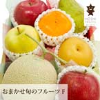 【送料無料】直送│ホシフルーツ おまかせ旬のフルーツBOX Ｆ【出産内祝い用】