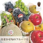 【送料無料】直送│ホシフルーツ おまかせ旬のフルーツBOX Ｇ【出産内祝い用】