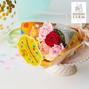 【送料無料】ホシファーム ベイビーローズニコ カラフル 8本【出産内祝い】