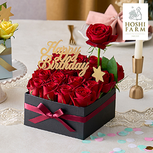 【送料無料】ホシファーム キュビーバースディアローズ L ルージュ【出産内祝い】