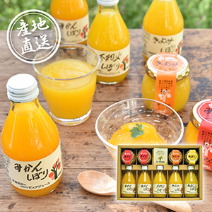 【送料無料】産地直送グルメ│伊藤農園 100%ピュアジュース&ジュレセット【出産内祝い】