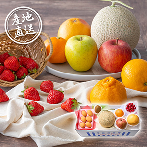 【送料無料】産地直送グルメ│季節の果実アソート E【出産内祝い】