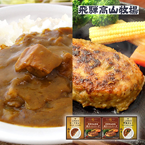 飛騨高山牧場 焼きハンバーグ＆こだわりカレーセットB【出産内祝い】