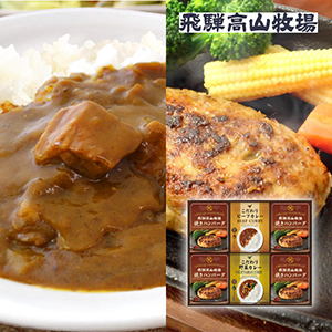 飛騨高山牧場 焼きハンバーグ＆こだわりカレーセットD【出産内祝い】