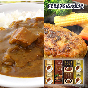 飛騨高山牧場 焼きハンバーグ＆こだわりカレーセットE【出産内祝い】