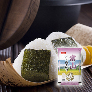 【送料無料】富山県産こしひかり 5kg【出産内祝い】