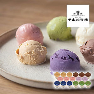【送料無料】千本松牧場 ピュアミルクアイス C【出産内祝い】