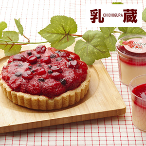【送料無料】乳蔵 たっぷりベリーのスイーツセット【出産内祝い】