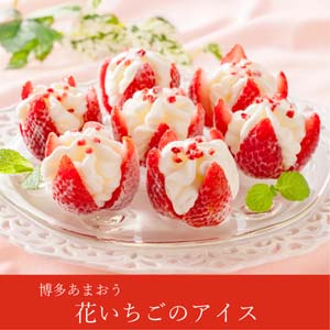 【送料無料】博多あまおう 花いちごのアイス（10個入）【出産内祝い用】