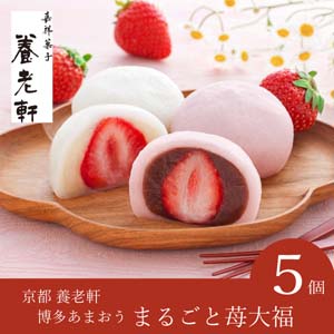 【送料無料】京都 養老軒 博多あまおう まるごと苺大福（5個入）【出産内祝い用】