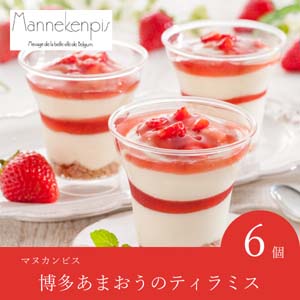 【送料無料】マヌカンピス　博多あまおうのティラミス【出産内祝い用】