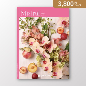 ミストラル Sage（セージ）【3800円コース】カタログギフト【出産内祝い用】