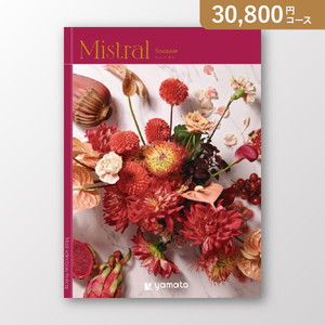 ミストラル SOUNION（スーニオン）【30800円コース】カタログギフト【出産内祝い用】