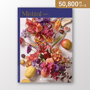 ミストラル ANTIBES（アンティーブ）【50800円コース】カタログギフト【出産内祝い用】