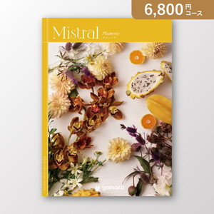 ミストラル プルメリア【6800円コース】カタログギフト【出産内祝い用】